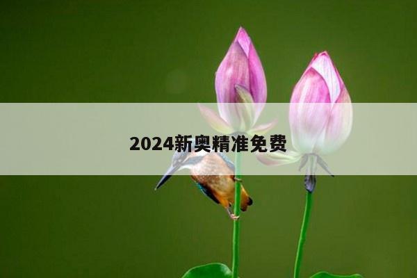 2024新奥精准免费