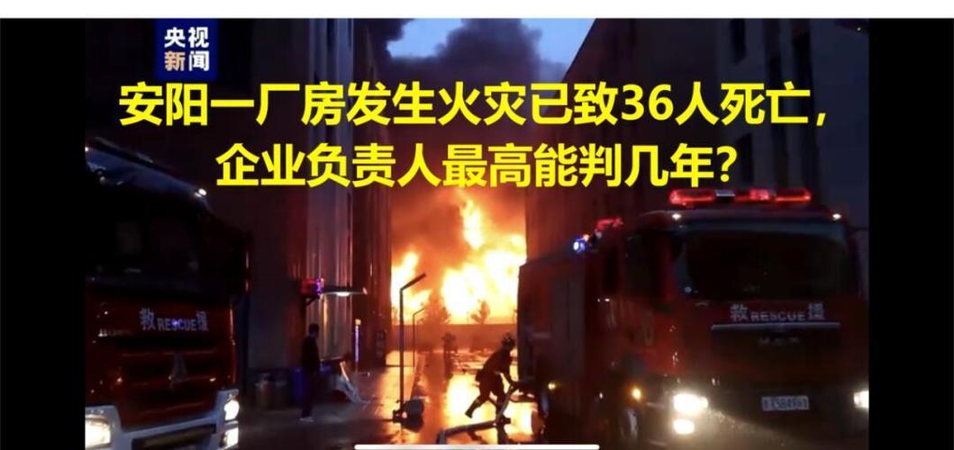 admin 第695页