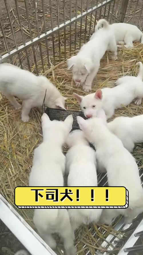 admin 第681页