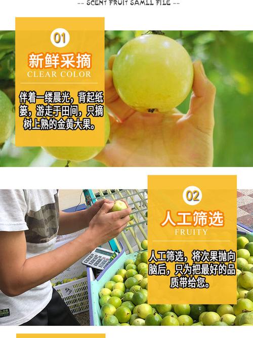 新澳门2025年正版免费和这几种水果买就后悔与买哪些水果