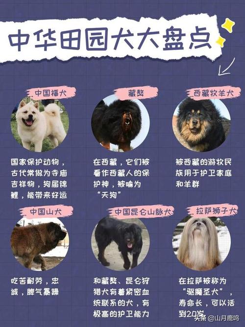 2025新澳门天天开奖结果和7岁男孩遭3只犬撕咬与7岁男孩遭3只犬撕咬怎么办