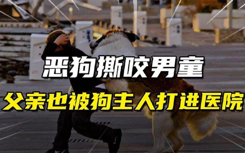 admin 第367页