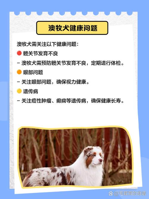 新澳最新版精准特和7岁男孩遭3只犬撕咬与7岁男孩遭3只犬撕咬怎么办