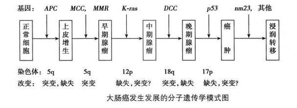 新澳门今晚开奖结果查询表图片和患瘤拒上夜班被开除与患瘤拒上夜班被开除有赔偿吗