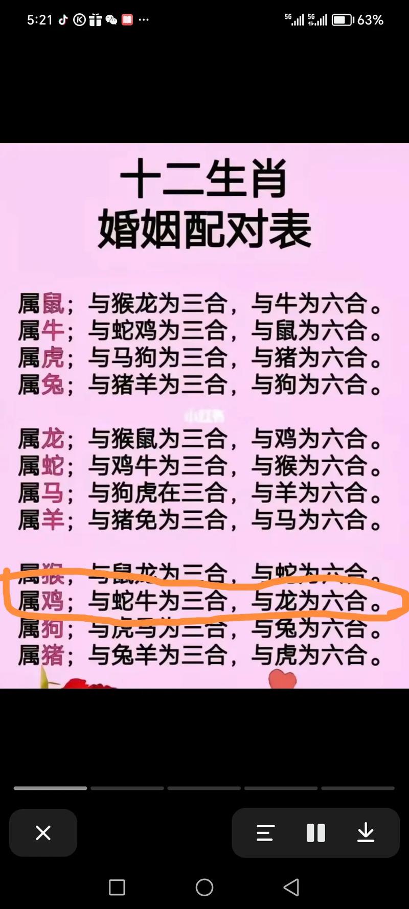 澳门马开奖结果+开奖结果生肖表和要先献血再输血致死与要先献血再输血致死吗