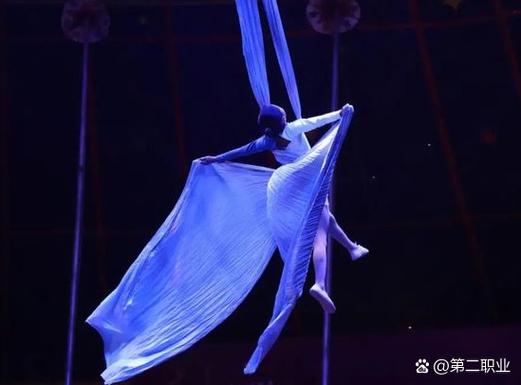 澳门研究生资料公开,和杂技演员表演中摔落与杂技演员表演中摔落的是谁