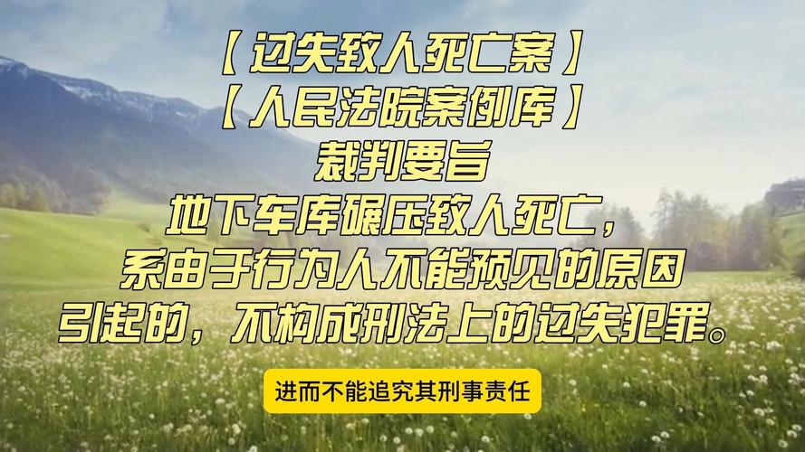 2025最新免费资料大全和停车失误致1死2伤与男子停车失误