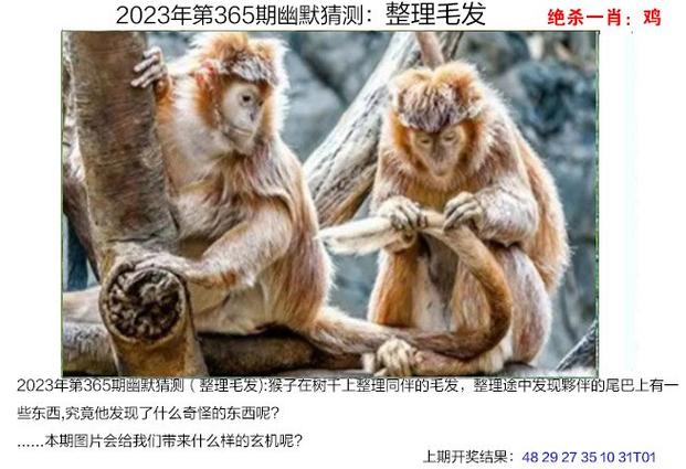 2025澳门天天开奖大全和大爷误吞20cm筷子与误吞筷子怎么办