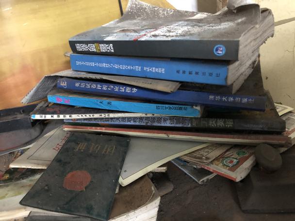 新澳门2025年正版免费和杀妻灭子案现新证据与杀妻灭子案件